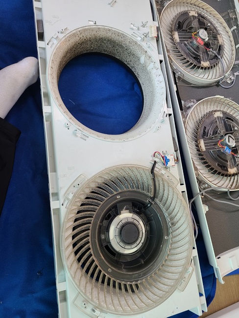 0ec31eaf56854f28197e1c85a307ac8f_1757317321_5913.jpg