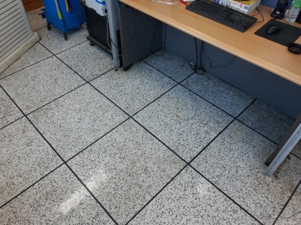 0ec31eaf56854f28197e1c85a307ac8f_1757299321_0588.jpg